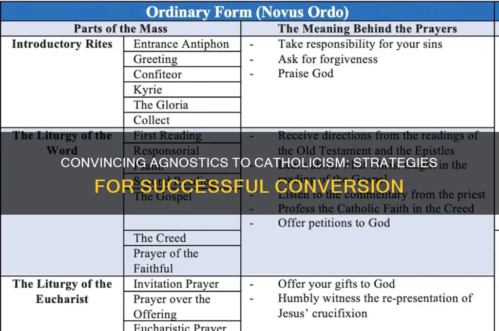 how to convert an agnostic to catholic