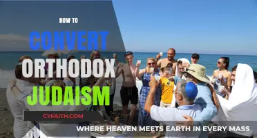 Exploring the Path: Converting to Orthodox Judaism Step-by-Step Guide