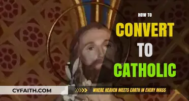 A Guide to Embracing the Catholic Faith: Your Conversion Journey