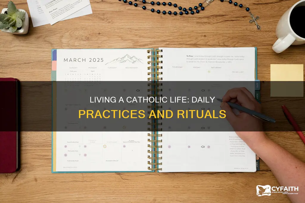 how to daily life as a catholic
