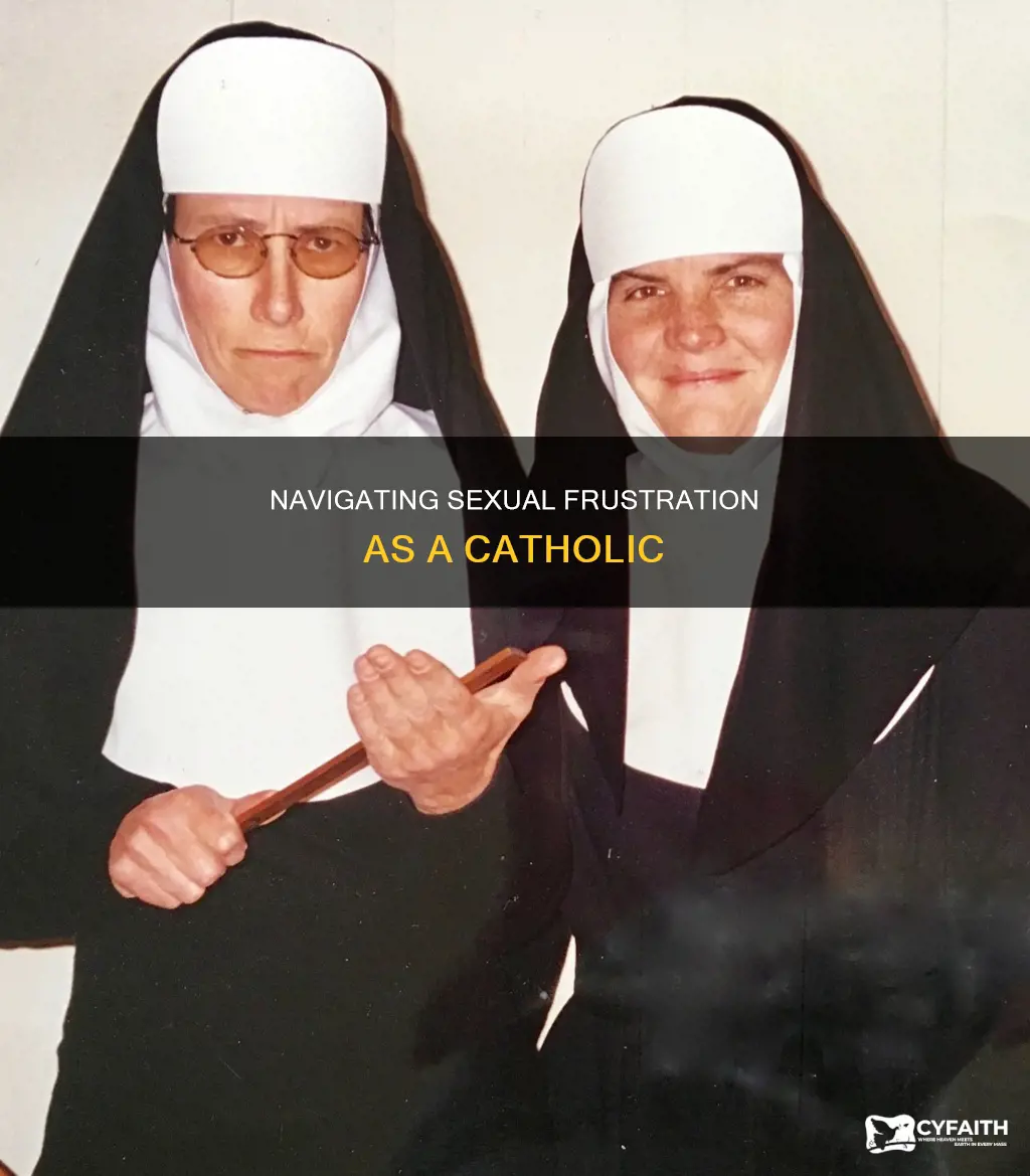 how to deal with sexual frustration catholic