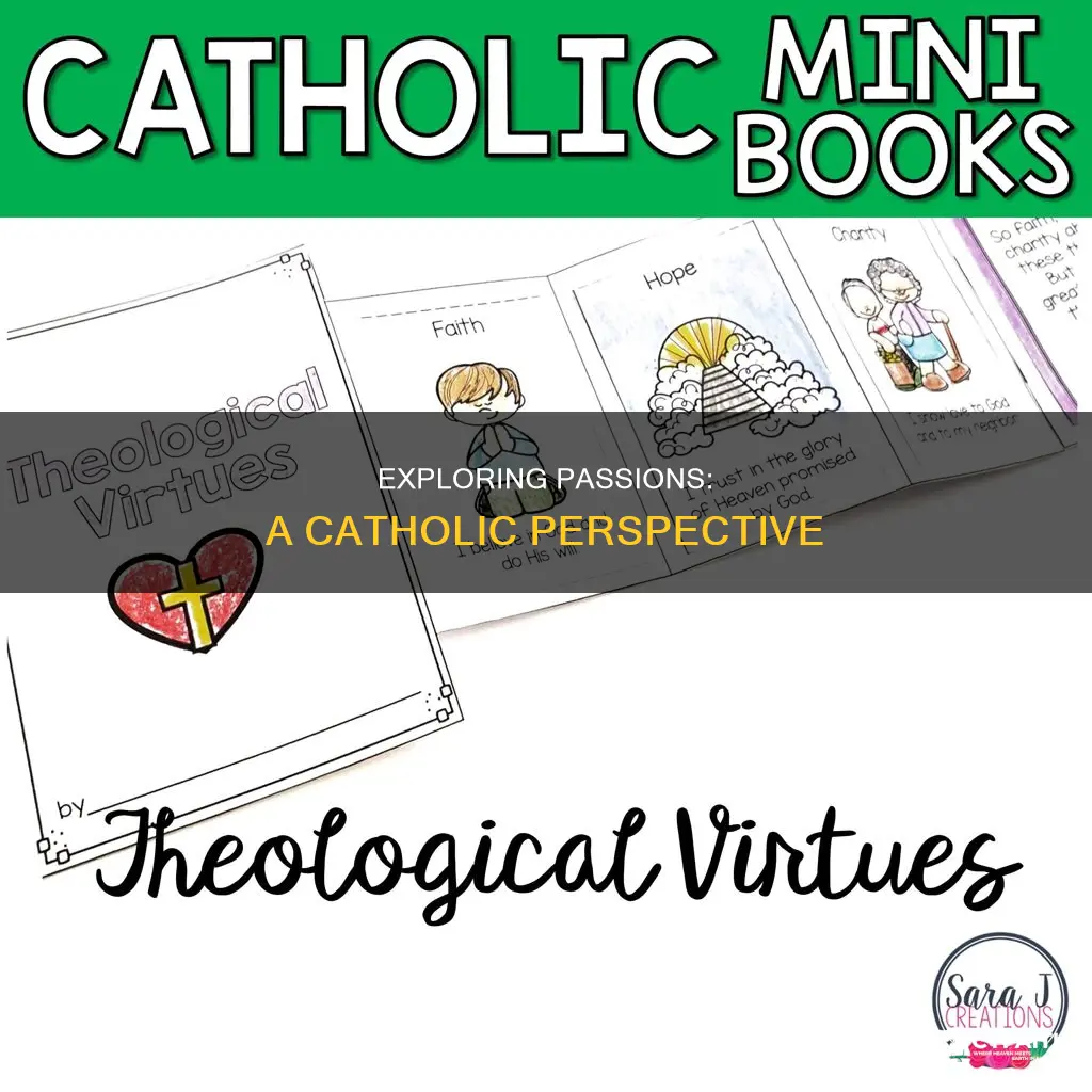 how to deal with your passions catholic viewpoint