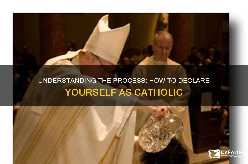 how to declare catholic