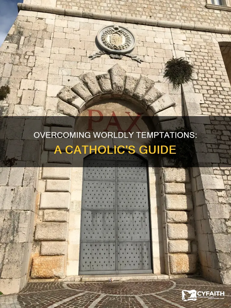 how to defeat temptations of the world catholic