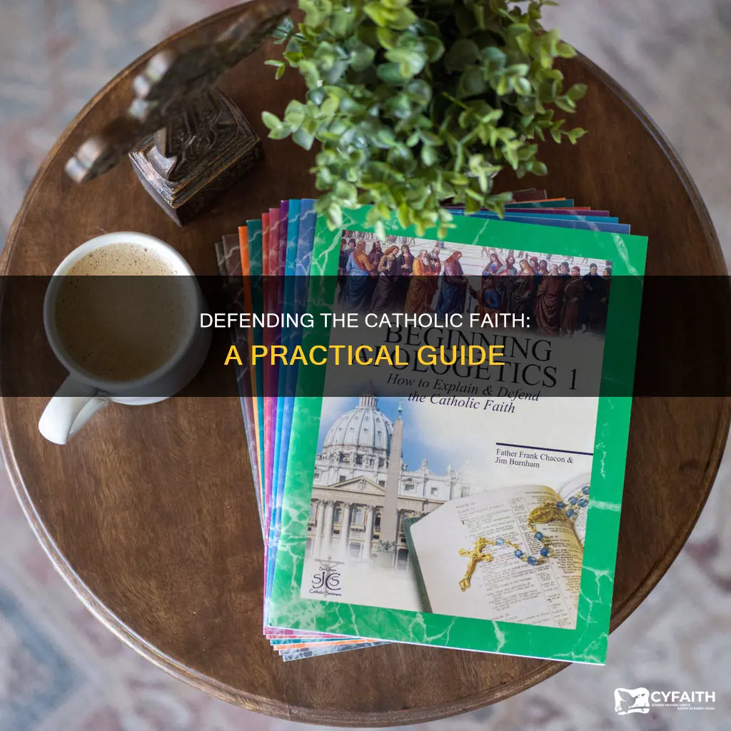 how to defend the catholic faith book