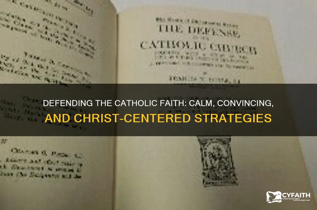 how to defend the catholic faith without raising your voice