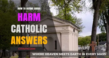 Grave Harm: Catholic Understanding and Answers