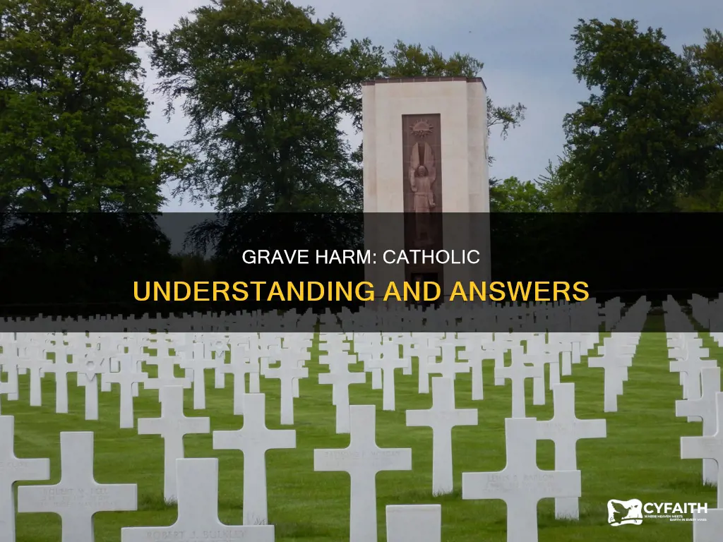 how to define grave harm catholic answers