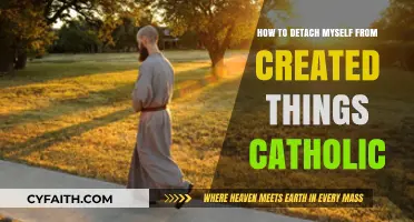 Detaching from Creation: A Catholic's Guide to Mindfulness