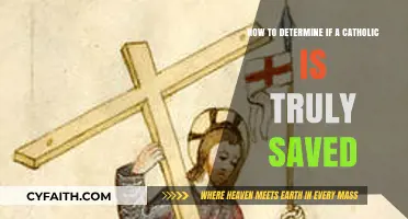 Is a Catholic Truly Saved? Key Indicators to Consider