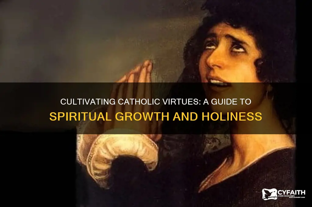 how to develop virtues catholic