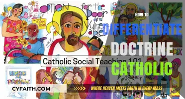 Understanding Catholic Doctrine: Key Principles and Distinctions Explained