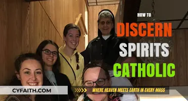 Discerning Spirits: A Catholic Guide to Spiritual Discernment