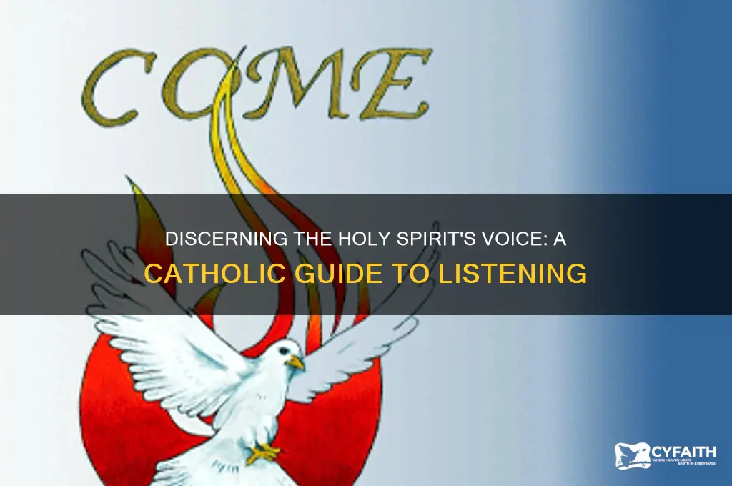 how to discern the voice of the holy spirit catholic