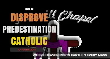 Challenging Predestination: A Catholic Perspective on Free Will and Grace