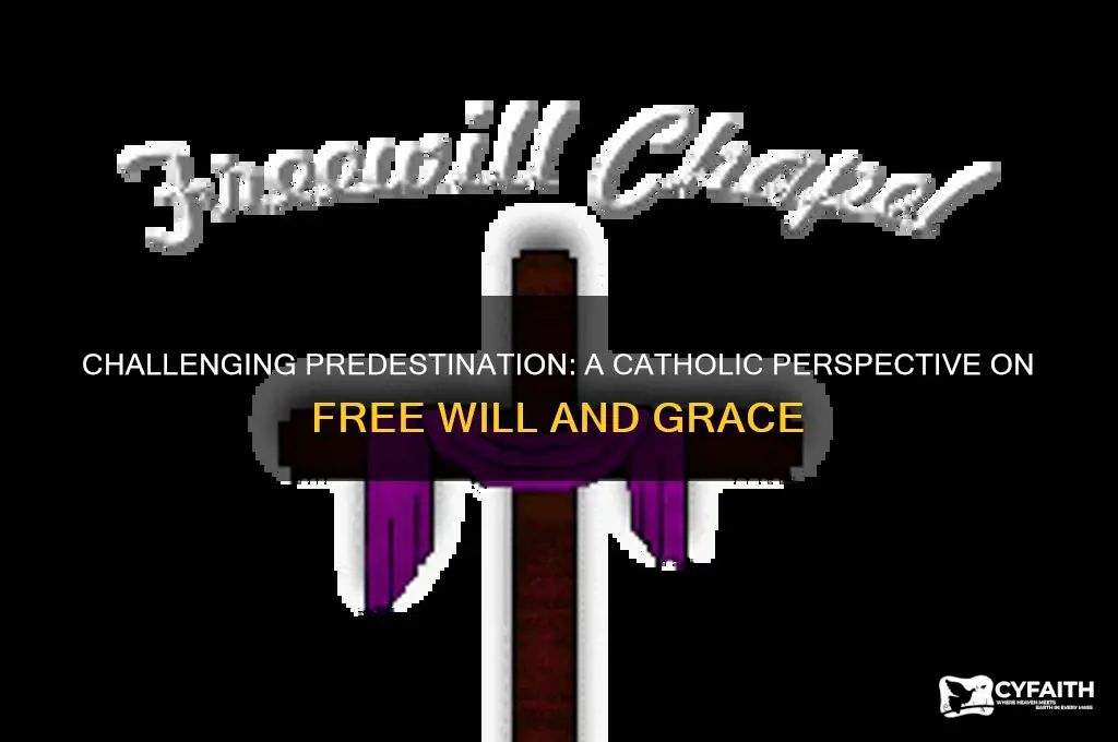 how to disprove predestination catholic