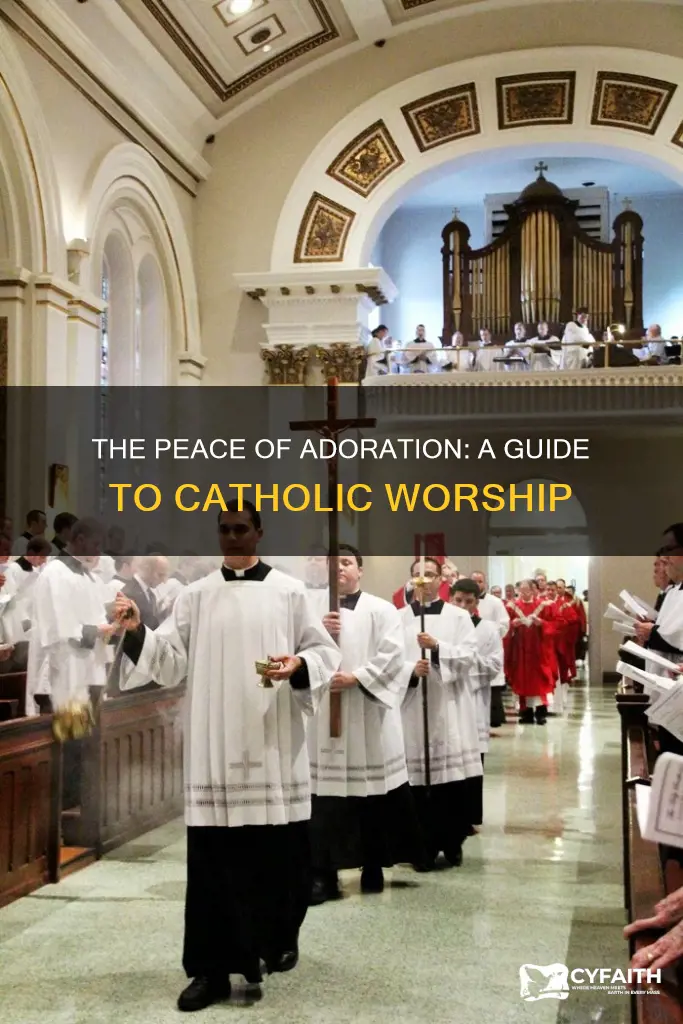 how to do a catholic adoration