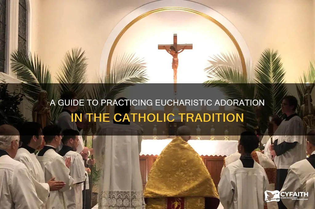how to do adoration catholic