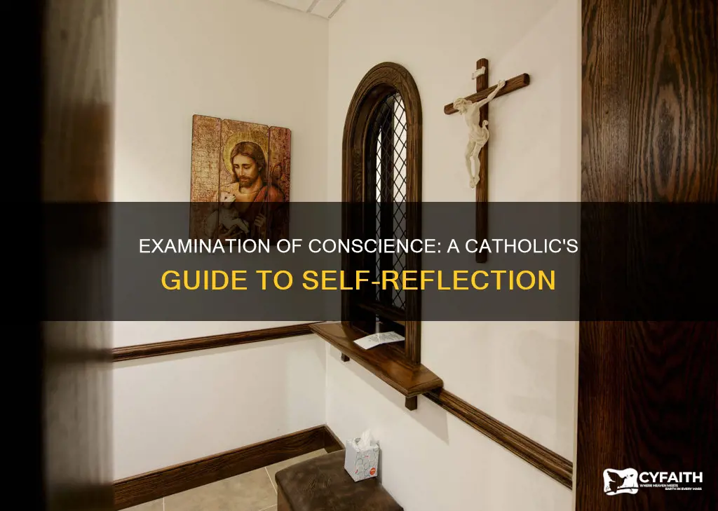 how to do an examination of conscience catholic