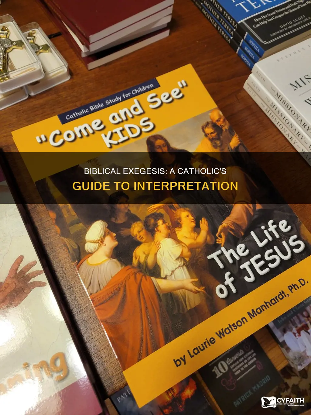 how to do catholic biblical exegesis