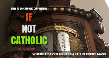 Non-Catholic Guide to the Catholic Confesson