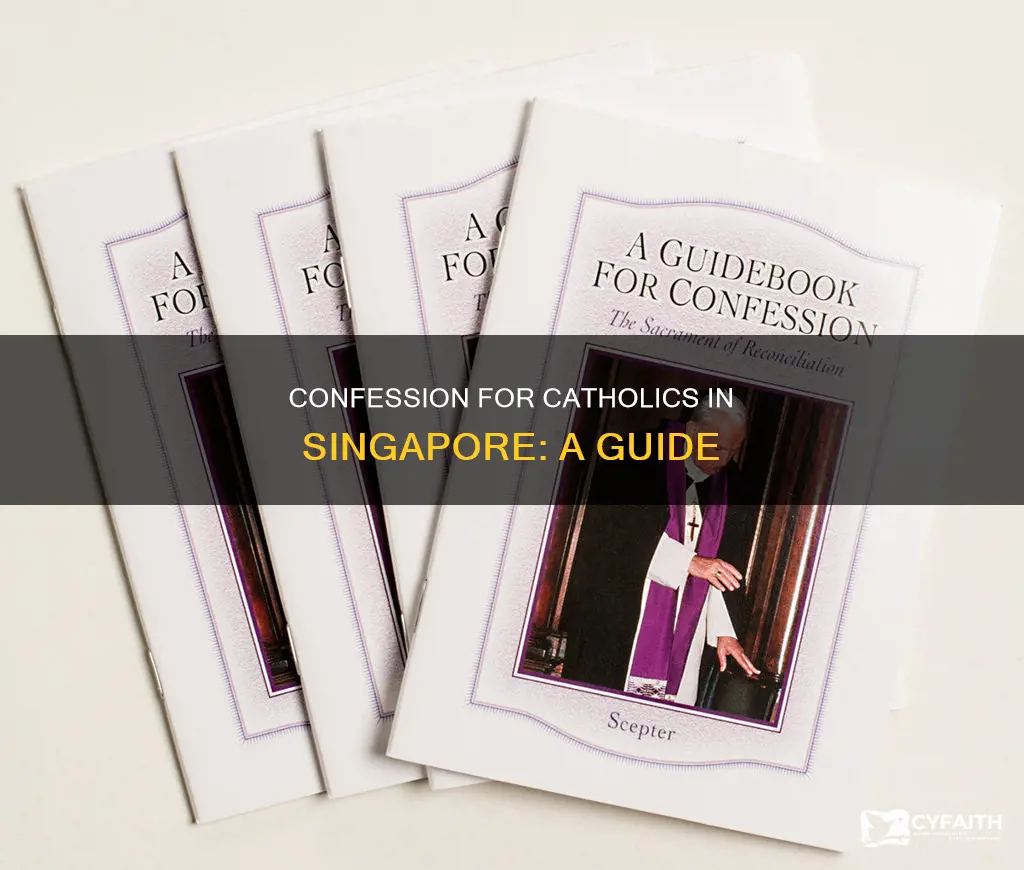 how to do confession catholic singapore