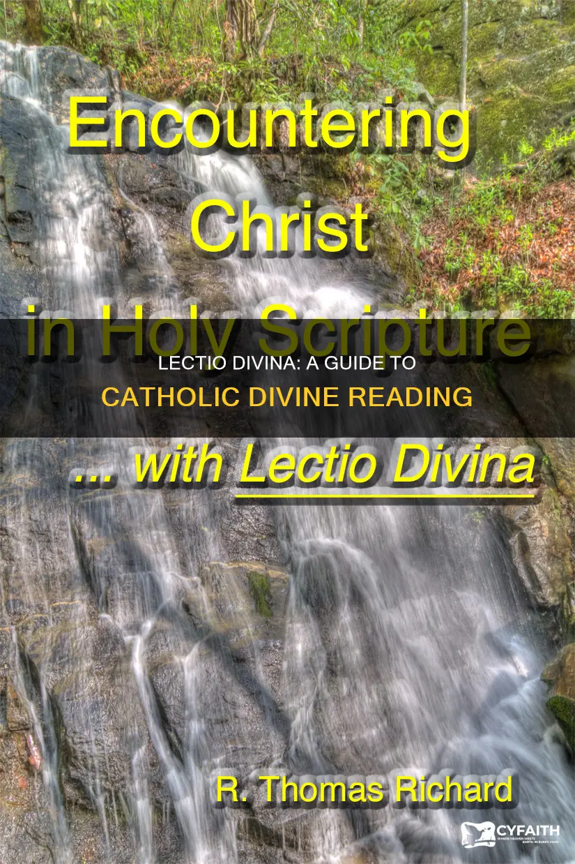 how to do lectio divina catholic