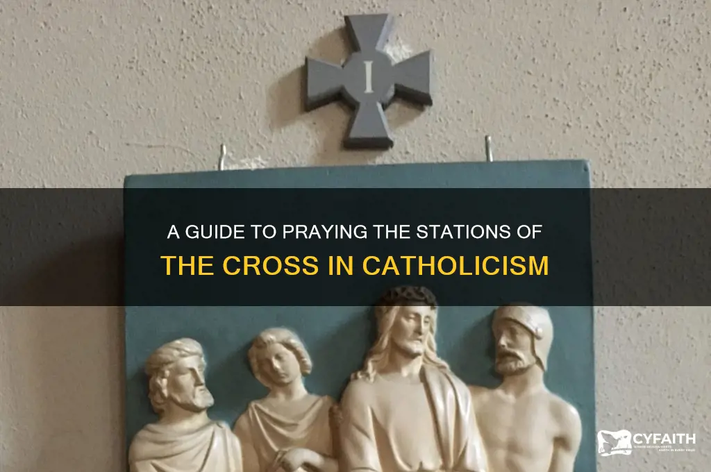 how to do the stations of the cross catholic