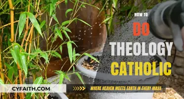 Understanding Catholic Theology: A Practical Guide for Faithful Reflection