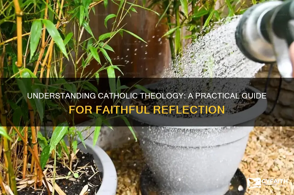 how to do theology catholic