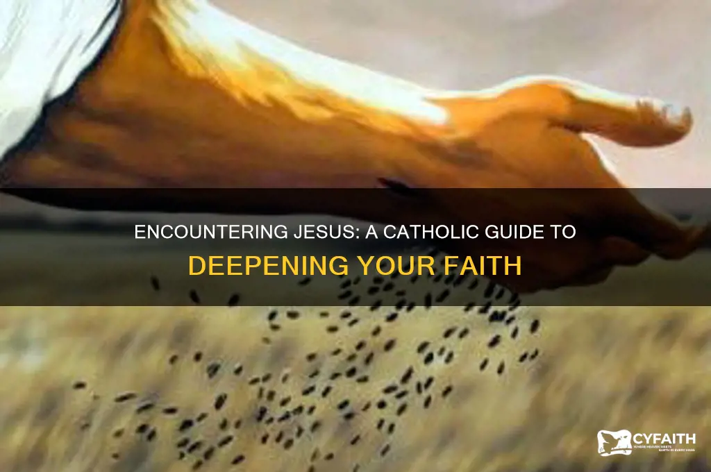 how to encounter jesus catholic