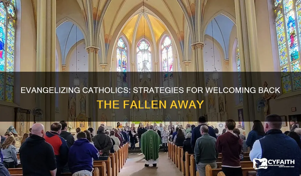 how to evangelize fallen away catholics