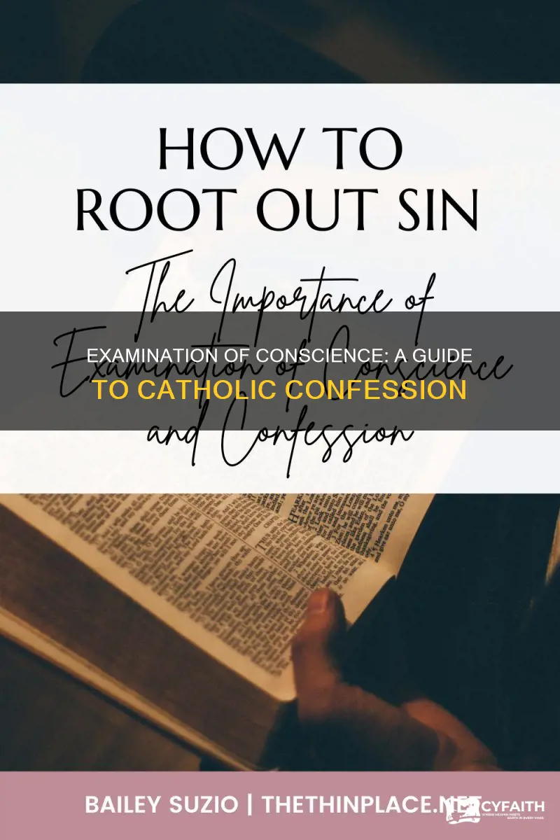 how to examine conscience catholic confession