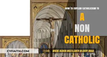 Explaining Catholicism: A Guide for the Non-Initiated