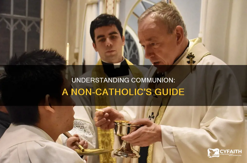 how to explain communion to a non catholic