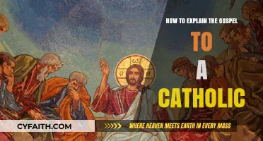 Understanding the Gospel: A Catholic's Guide