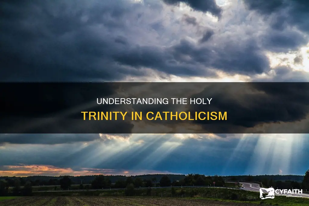 how to explain the holy trinity catholic