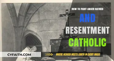 Overcoming Negative Emotions: A Catholic's Guide to Inner Peace
