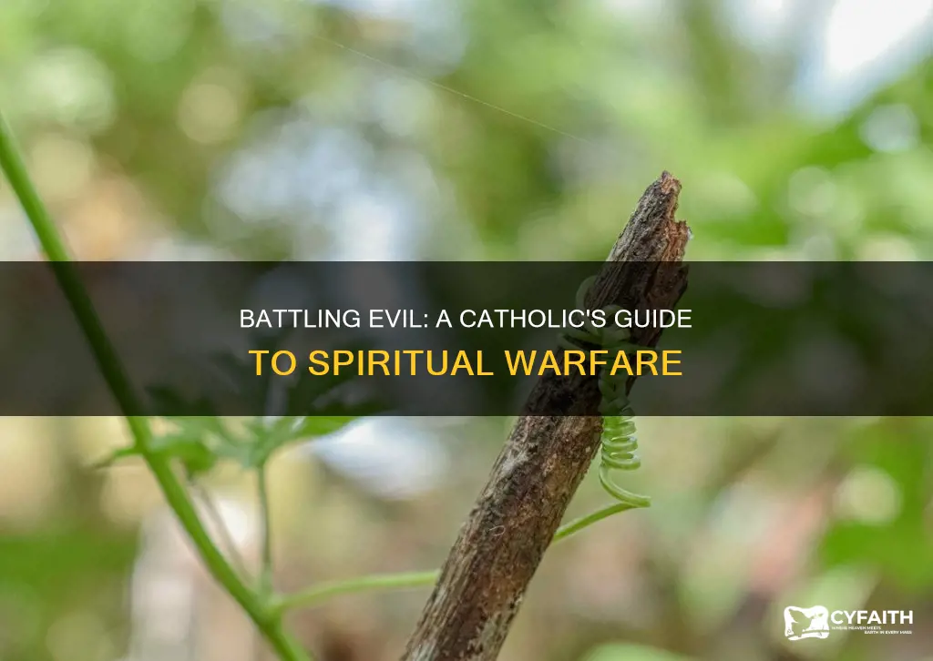 how to fight the devil catholic