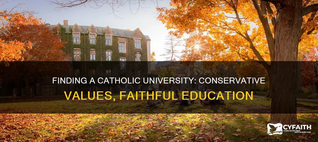how to find a conservative catholic university
