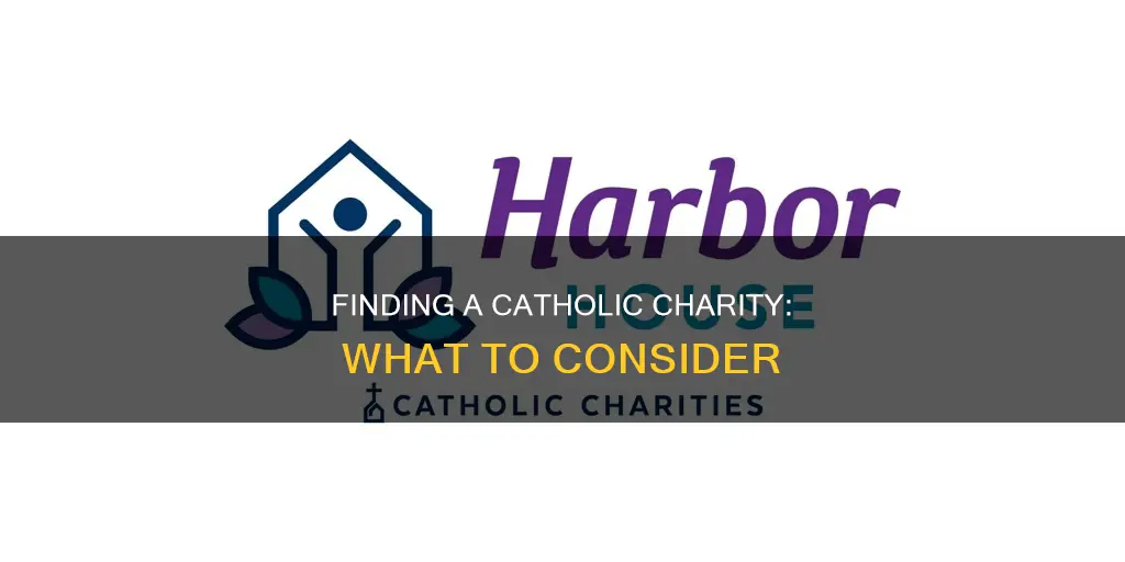 how to find a good catholic charity