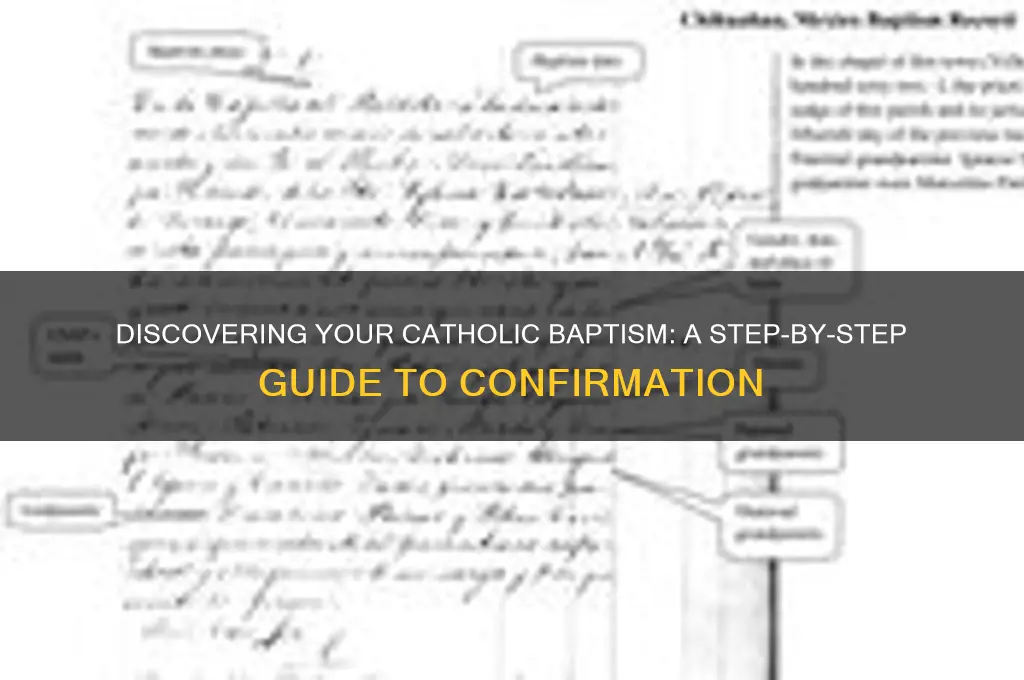 how to find out if you were baptized catholic