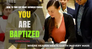 Discover Your Catholic Baptism Parish: A Step-by-Step Guide