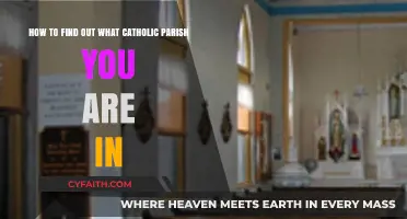 Discover Your Local Catholic Parish: A Simple Guide to Finding Yours