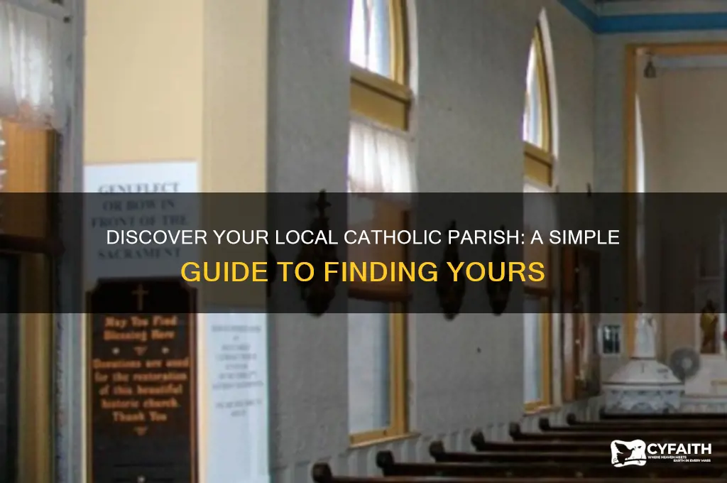 how to find out what catholic parish you are in