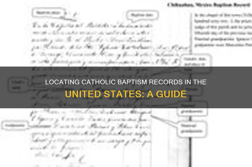 how to find proof of catholic baptism united states