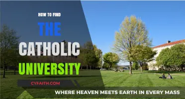 Finding the Right Catholic University: A Guide