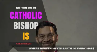 Finding Your Catholic Bishop: A Quick Guide