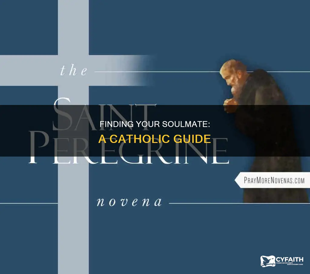 how to find your soulmate catholic book