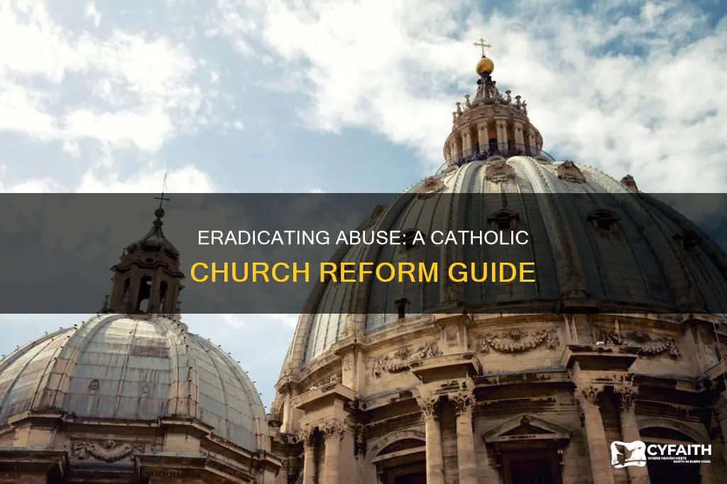 how to fix catholic abuse problem